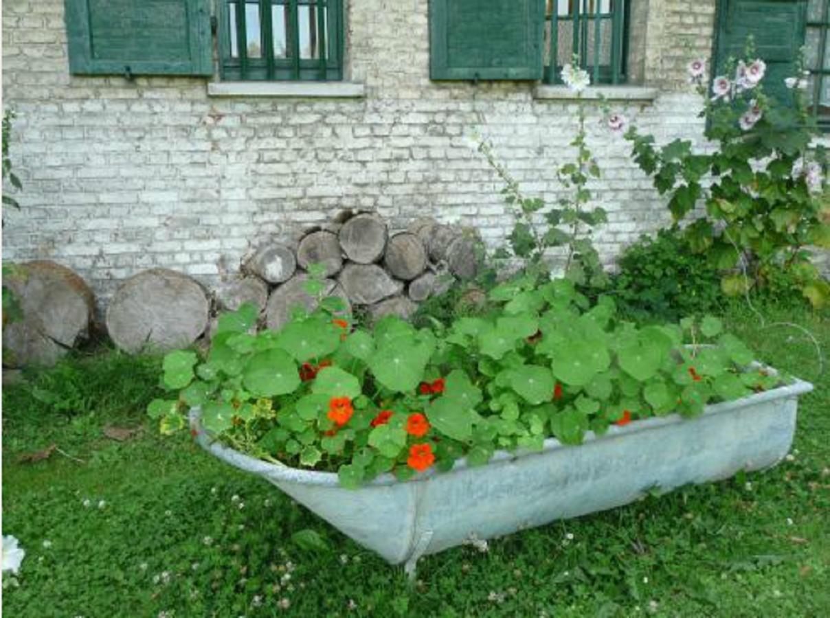 Manoir De Bois En Ardres Bed & Breakfast Exterior foto