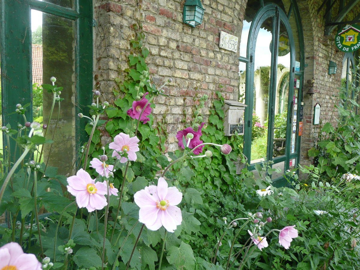 Manoir De Bois En Ardres Bed & Breakfast Exterior foto