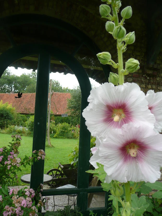 Manoir De Bois En Ardres Bed & Breakfast Exterior foto