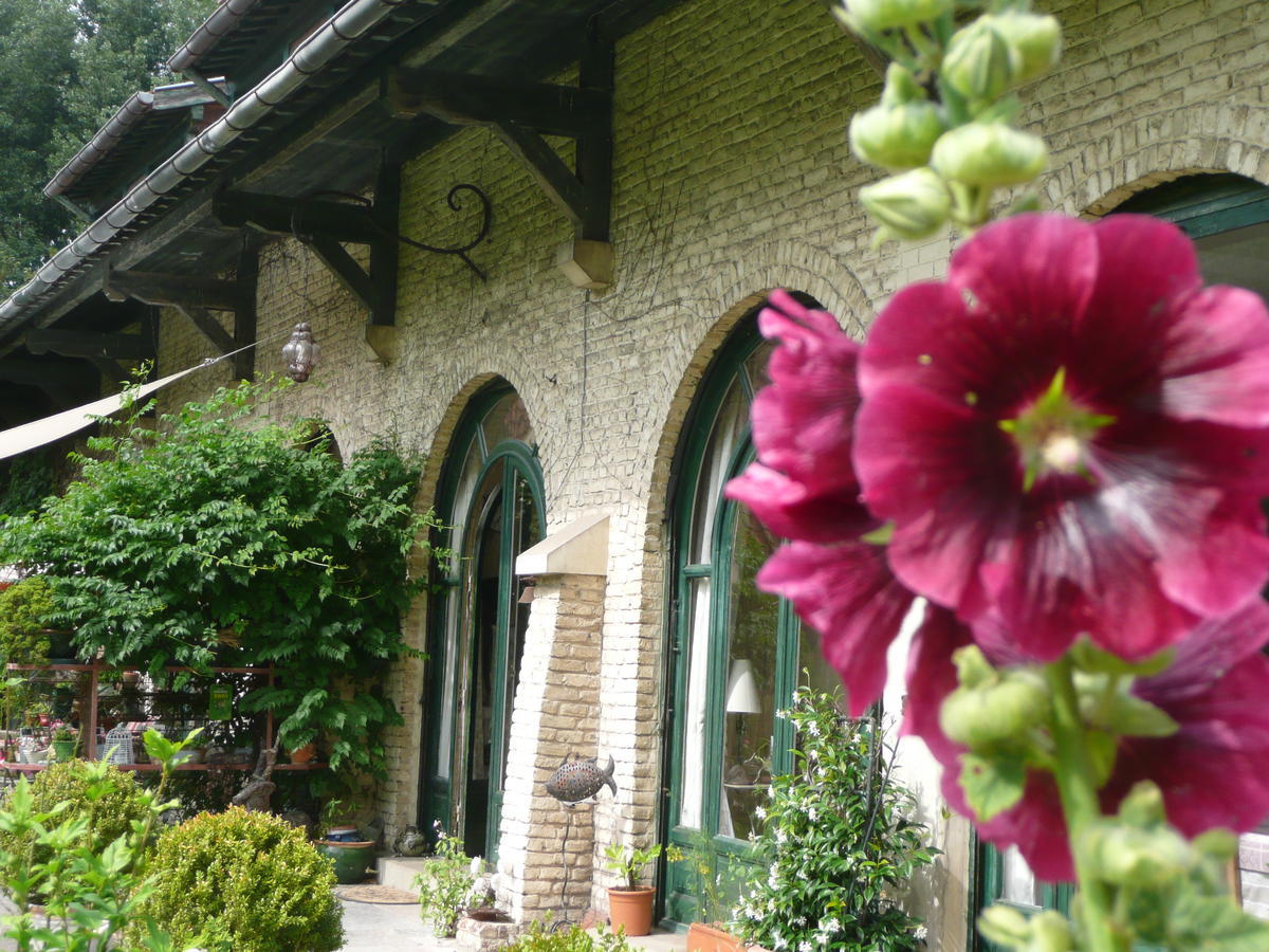 Manoir De Bois En Ardres Bed & Breakfast Exterior foto