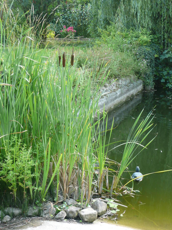 Manoir De Bois En Ardres Bed & Breakfast Exterior foto